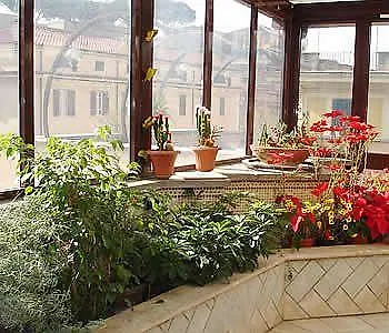 Museum מלון רומא